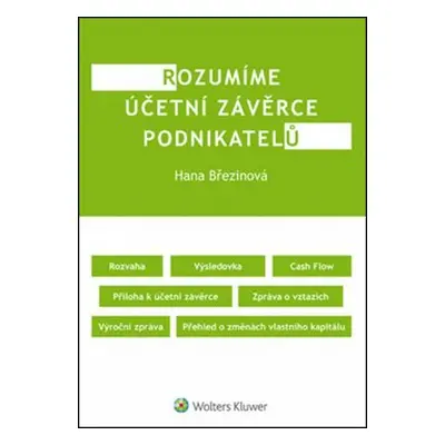 Rozumíme účetní závěrce podnikatelů - Hana Březinová