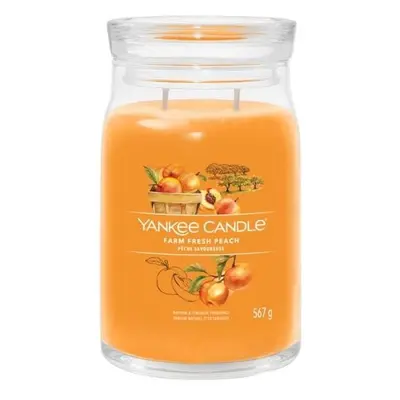 YANKEE CANDLE Farm Fresh Peach svíčka 567g / 2 knoty (Signature velký)