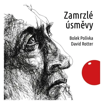 Zamrzlé úsměvy - audioknihovna - David Rotter