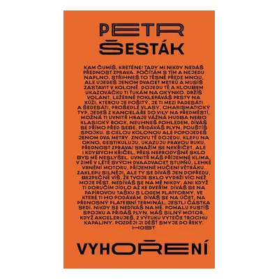 Vyhoření - Petr Šesták