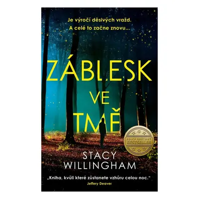 Záblesk ve tmě - Stacy Willingham