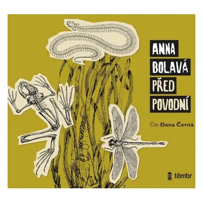 Před povodní - audioknihovna - Anna Bolavá