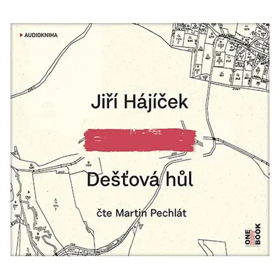 Dešťová hůl - CDmp3 (Čte Martin Pechlát) - Jiří Hájíček