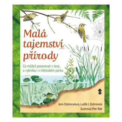 Malá tajemství přírody: Co můžeš pozorovat v lese, u rybníka i v městském parku - Luděk Jindřich