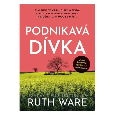 Podnikavá dívka - Ruth Ware