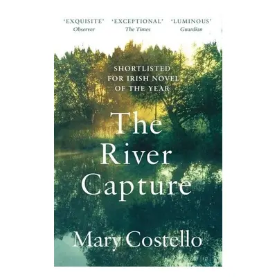 The River Capture - Mary Costello