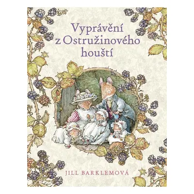 Vyprávění z Ostružinového houští - Jill Barklemová