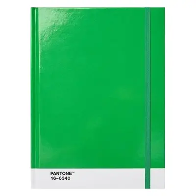 Pantone Zápisník tečkovaný L - Green 16-6340