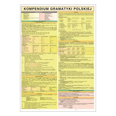 KOMPENDIUM GRAMATYKI POLSKIEJ - Urszula Drahny