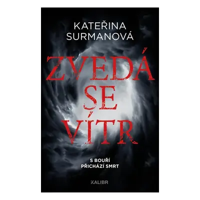 Zvedá se vítr - Kateřina Surmanová