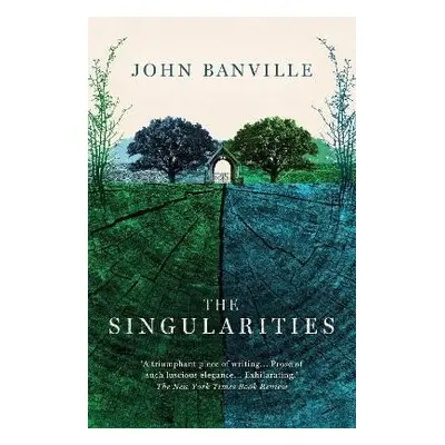 The Singularities - John Banville