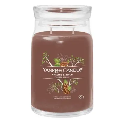 YANKEE CANDLE Praline & Birch svíčka 567g / 2 knoty (Signature velký)