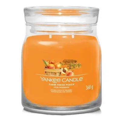 YANKEE CANDLE Farm Fresh Peach svíčka 368g / 2 knoty (Signature střední)