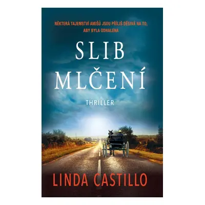 Slib mlčení, 2. vydání - Linda Castillo