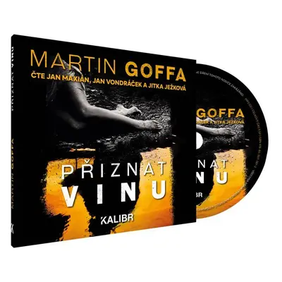 Přiznat vinu - audioknihovna - Martin Goffa