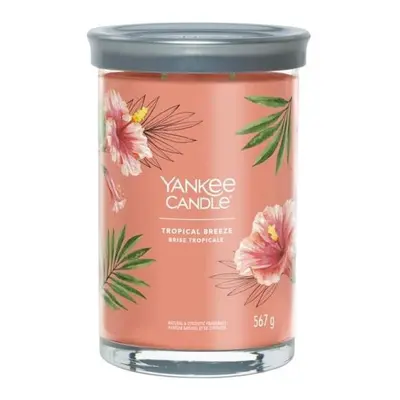 YANKEE CANDLE Tropical Breeze svíčka 567g / 2 knoty (Signature tumbler velký )