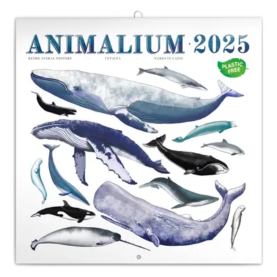 Kalendář 2025 poznámkový: Animalium, 30 × 30 cm