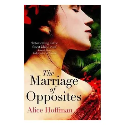 The Marriage of Opposites - Alice Hoffmanová