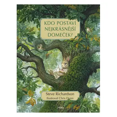 Kdo postaví nejkrásnější domeček? - Steve Richardson