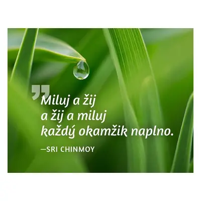 Magnet na lednici - Miluj a žij a žij a miluj každý okamžik naplno. - Sri Chinmoy