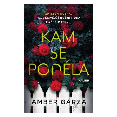 Kam se poděla - Amber Garza