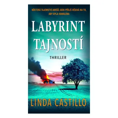 Labyrint tajností - Linda Castillo