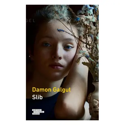 Slib, 1. vydání - Damon Galgut