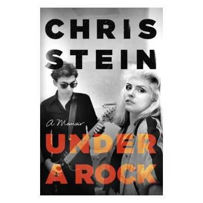 Under A Rock - Christina Stein