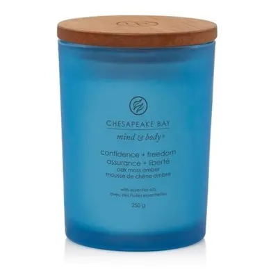 Vonná svíčka CHESAPEAKE BAY CANDLE Confidence & Freedom 250g