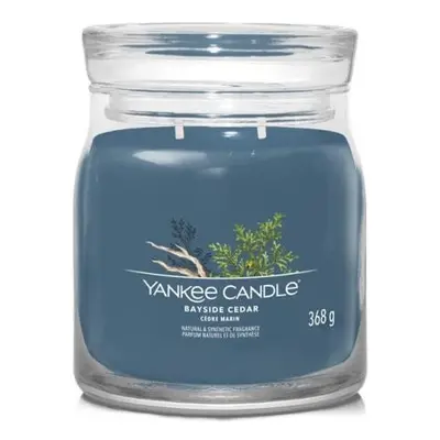 YANKEE CANDLE Bayside Cedar svíčka 368g / 2 knoty (Signature střední)