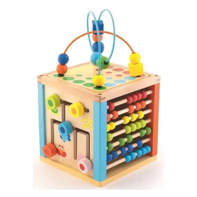 Dřevěná motorická kostka / Wooden Toys