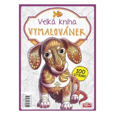 Velká kniha vymalovánek - fuchsiová - autorů