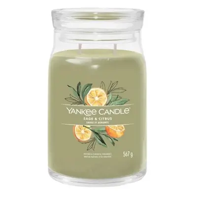 YANKEE CANDLE Sage & Citrus svíčka 567g / 2 knoty (Signature velký)