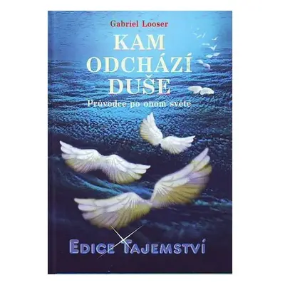 Kam odchází duše? - Gabriel Looser