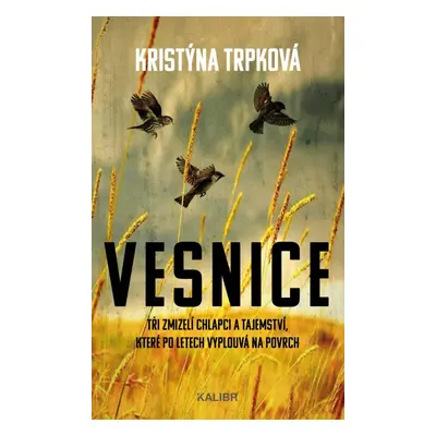 Vesnice - Kristýna Trpková