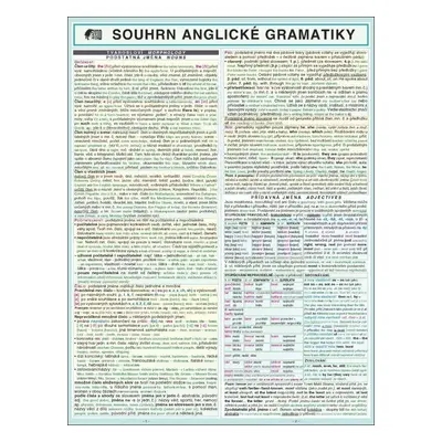 SOUHRN ANGLICKÉ GRAMATIKY A4, 2. vydání - Miloslav Holman