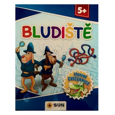 Bludiště - Zábavná cvičebnice 5+