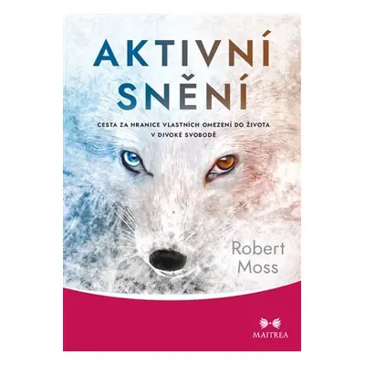 Aktivní snění - Cesta za hranice vlastních omezení do života v divoké svobodě - Robert Moss