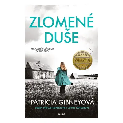 Zlomené duše - Patricia Gibneyová