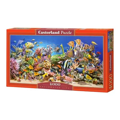 Castorland Puzzle - Podvodní život 4000 dílkú