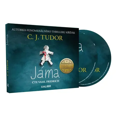 Jáma - audioknihovna - C. J. Tudor