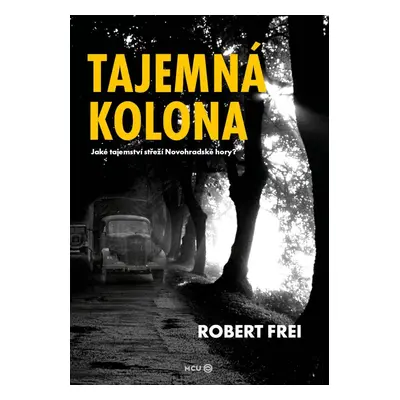 Tajemná kolona - Jaké tajemství střeží Novohradské hory? - Robert Frei