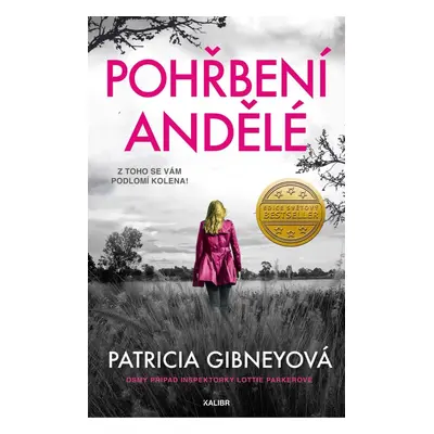 Pohřbení andělé - Patricia Gibneyová