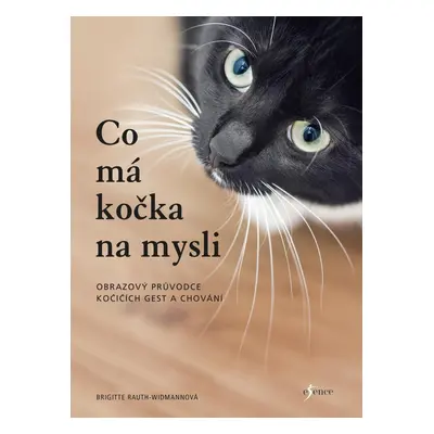 Co má kočka na mysli, 2. vydání - Brigitte Rauth–Widmannová