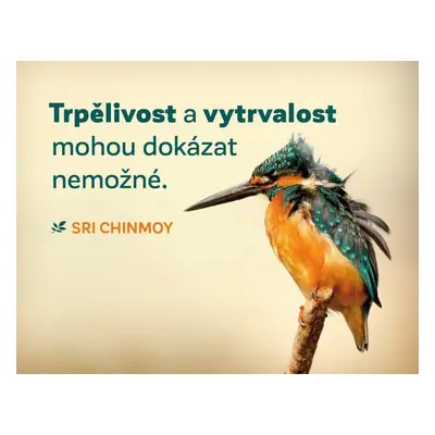 Magnet na lednici "Trpělivost a vytrvalost" - Sri Chinmoy