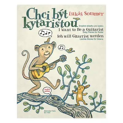 Chci být kytaristou - Lukáš Sommer