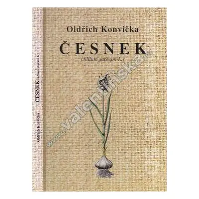 Česnek (Allium sativum L.) - Oldřich Konvička