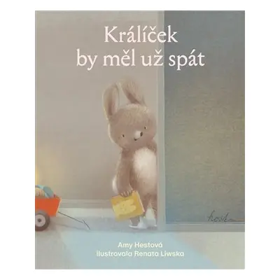 Králíček by měl už spát - Amy Hest