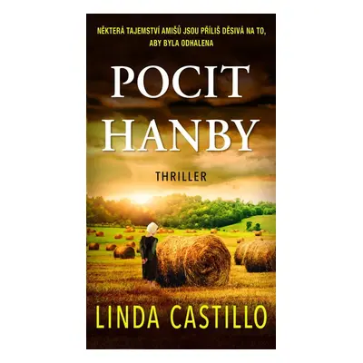 Pocit hanby - Linda Castillo