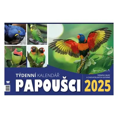 Kalendář 2025 Papoušci - stolní, týdenní